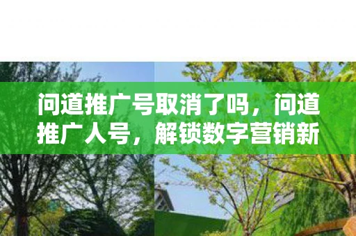问道推广号取消了吗，问道推广人号，解锁数字营销新境界
