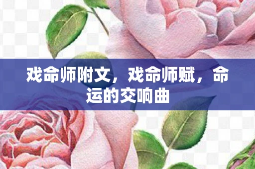 戏命师附文，戏命师赋，命运的交响曲