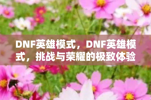 DNF英雄模式,DNF英雄模式,挑战与荣耀的极致体验 DNF英雄模式,DNF英雄模式,挑战与荣耀的极致体验