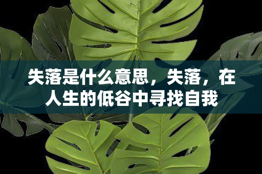 失落是什么意思,失落,在人生的低谷中寻找自我 失落是什么意思,失落,在人生的低谷中寻找自我