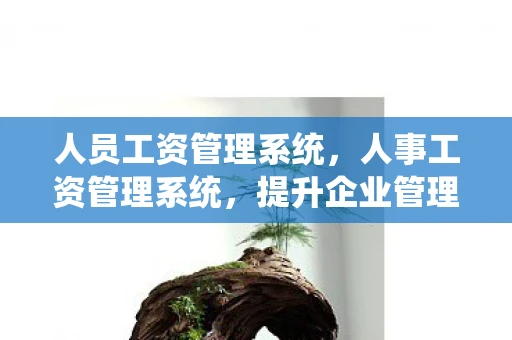 人员工资管理系统，人事工资管理系统，提升企业管理效率的关键工具