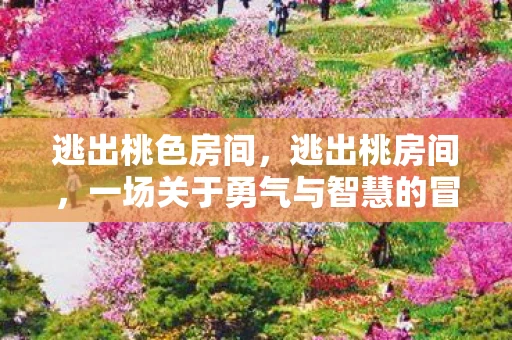 逃出桃色房间，逃出桃房间，一场关于勇气与智慧的冒险