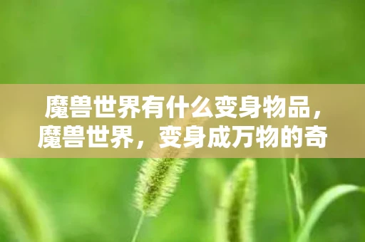 魔兽世界有什么变身物品，魔兽世界，变身成万物的奇妙之旅