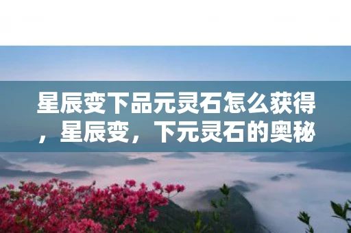 星辰变下品元灵石怎么获得，星辰变，下元灵石的奥秘