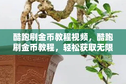 酷跑刷金币教程视频，酷跑刷金币教程，轻松获取无限金币，助你游戏更上一层楼