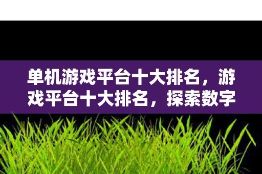 单机游戏平台十大排名,游戏平台十大排名,探索数字娱乐的新纪元 单机游戏平台十大排名,游戏平台十大排名,探索数字娱乐的新纪元