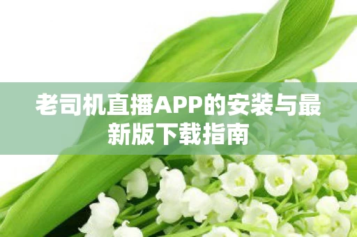 老司机直播APP的安装与最新版下载指南图片