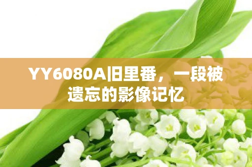YY6080A旧里番，一段被遗忘的影像记忆