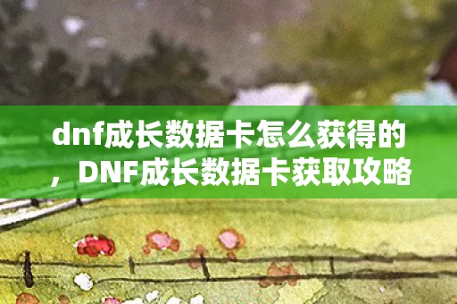dnf成长数据卡怎么获得的，DNF成长数据卡获取攻略，打造角色成长的加速器