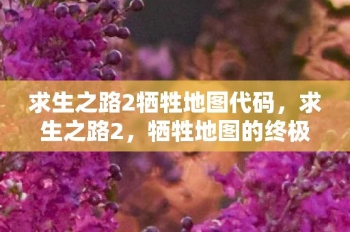 求生之路2牺牲地图代码，求生之路2，牺牲地图的终极挑战