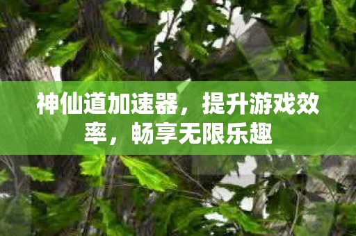 神仙道加速器，提升游戏效率，畅享无限乐趣