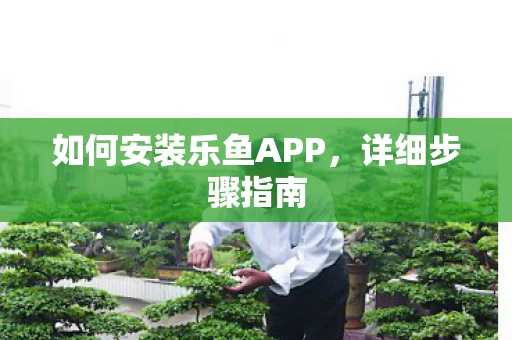 如何安装乐鱼APP图片