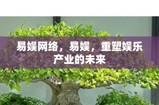 易娱网络，易娱，重塑娱乐产业的未来