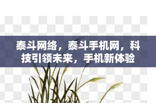 泰斗网络，泰斗手机网，科技引领未来，手机新体验