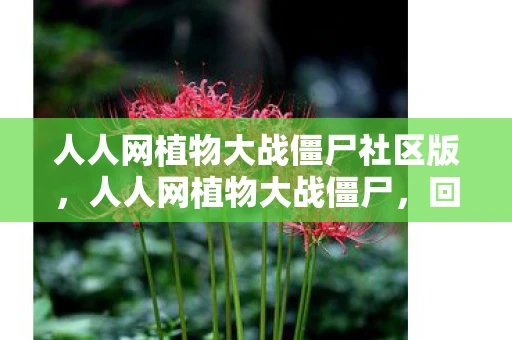 人人网植物大战僵尸社区版，人人网植物大战僵尸，回忆与情怀的交织
