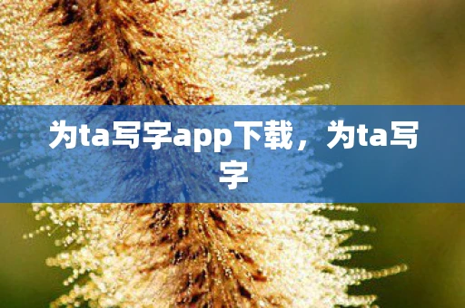 为ta写字app下载，为ta写字