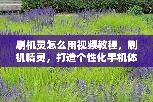 刷机灵怎么用视频教程，刷机精灵，打造个性化手机体验