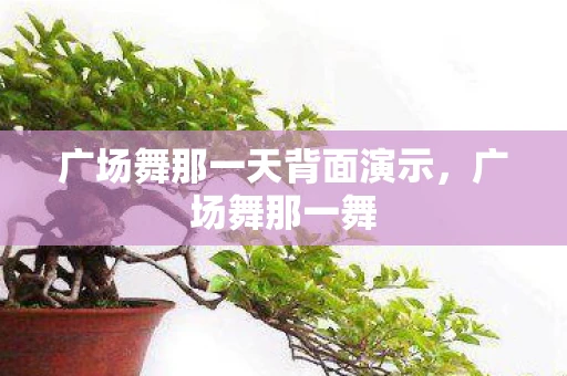 广场舞那一天背面演示，广场舞那一舞