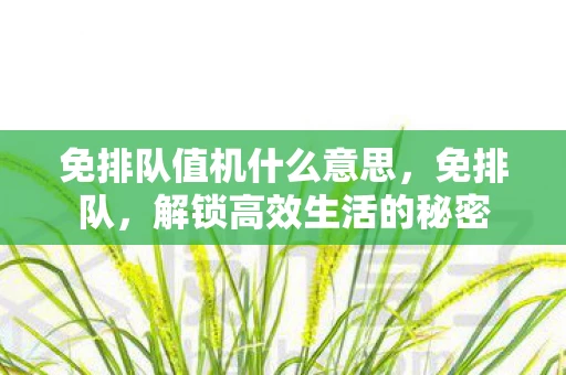 免排队值机什么意思，免排队，解锁高效生活的秘密