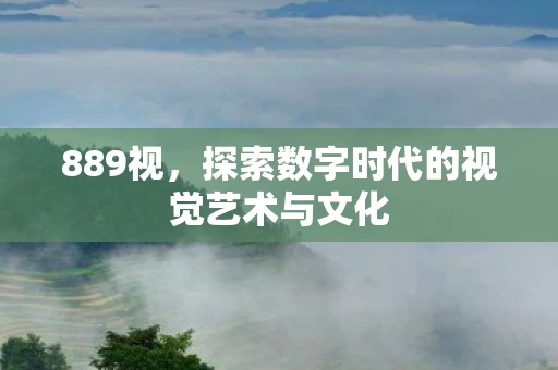 889视，探索数字时代的视觉艺术与文化
