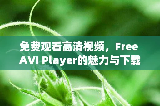 Free AVI Player的魅力与下载指南图片