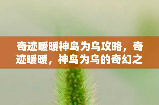 奇迹暖暖神鸟为乌攻略，奇迹暖暖，神鸟为乌的奇幻之旅