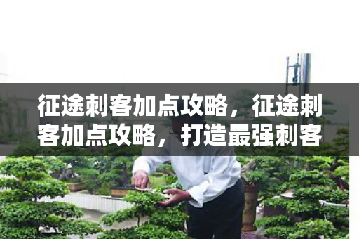 征途刺客加点攻略,征途刺客加点攻略,打造最强刺客的秘诀 征途刺客加点攻略,征途刺客加点攻略,打造最强刺客的秘诀