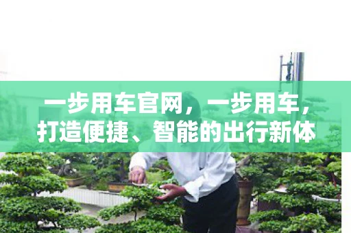一步用车官网，一步用车，打造便捷、智能的出行新体验