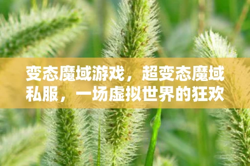 变态魔域游戏,超变态魔域私服,一场虚拟世界的狂欢与反思 变态魔域游戏,超变态魔域私服,一场虚拟世界的狂欢与反思