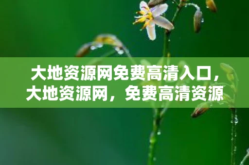 大地资源网免费高清入口,大地资源网,免费高清资源的宝藏 大地资源网免费高清入口,大地资源网,免费高清资源的宝藏
