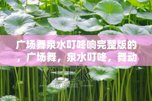 广场舞泉水叮咚响完整版的，广场舞，泉水叮咚，舞动生活的旋律
