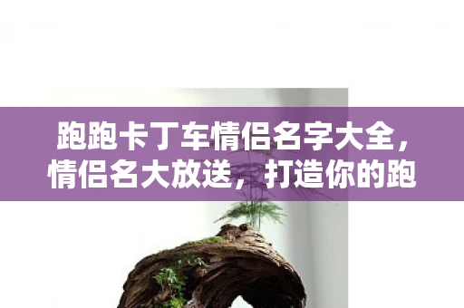 跑跑卡丁车情侣名字大全，情侣名大放送，打造你的跑跑卡丁车专属浪漫