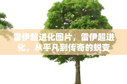 雷伊超进化图片,雷伊超进化,从平凡到传奇的蜕变 雷伊超进化图片,雷伊超进化,从平凡到传奇的蜕变