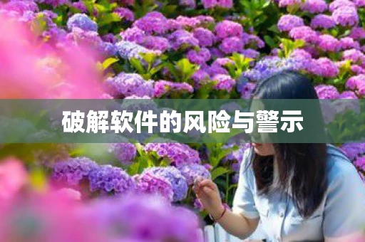 破解软件的风险与警示