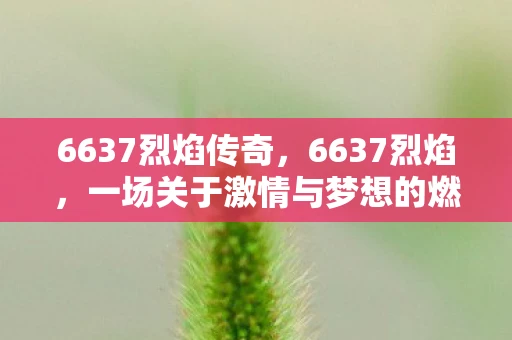 6637烈焰传奇，6637烈焰，一场关于激情与梦想的燃烧