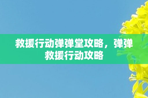 救援行动弹弹堂攻略，弹弹救援行动攻略
