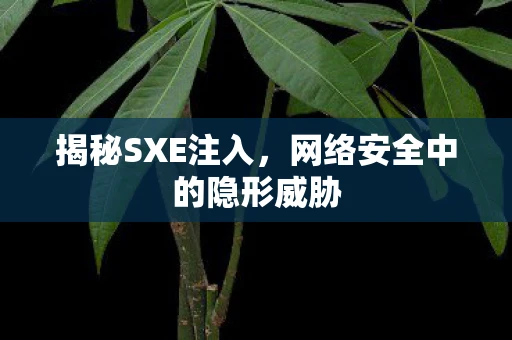 揭秘SXE注入，网络安全中的隐形威胁