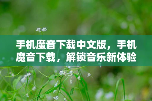 手机魔音下载中文版,手机魔音下载,解锁音乐新体验 手机魔音下载中文版,手机魔音下载,解锁音乐新体验
