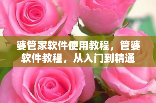 婆管家软件使用教程，管婆软件教程，从入门到精通