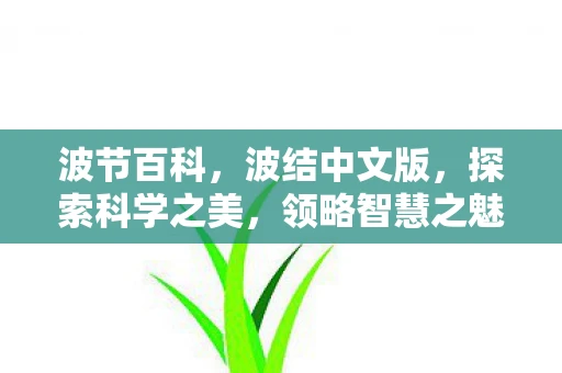 波节百科，波结中文版，探索科学之美，领略智慧之魅