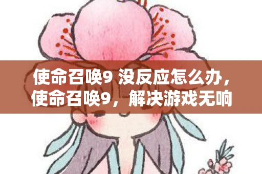 使命召唤9 没反应怎么办，使命召唤9，解决游戏无响应问题的全面指南