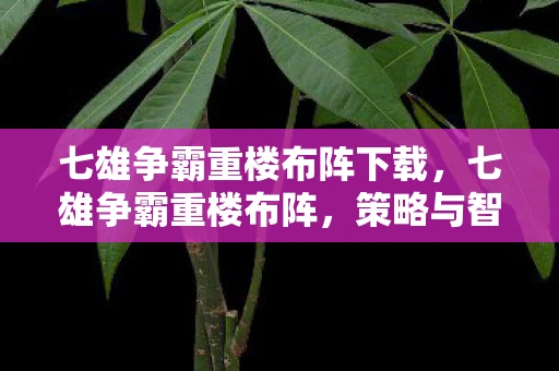 七雄争霸重楼布阵下载，七雄争霸重楼布阵，策略与智慧的较量