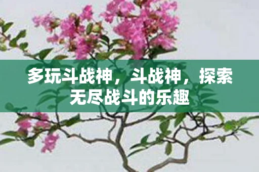多玩斗战神,斗战神,探索无尽战斗的乐趣 多玩斗战神,斗战神,探索无尽战斗的乐趣