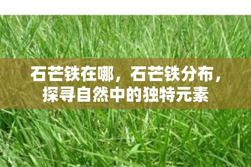 石芒铁在哪，石芒铁分布，探寻自然中的独特元素