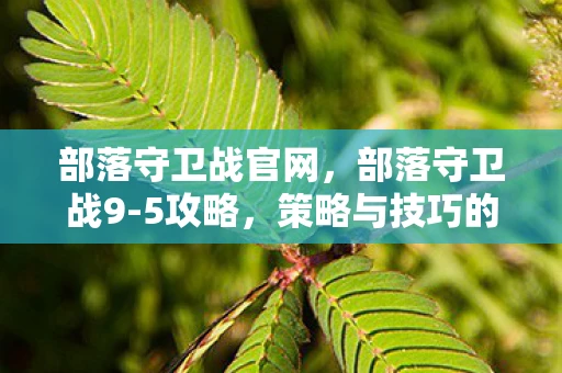 部落守卫战官网,部落守卫战9-5攻略,策略与技巧的全面解析 部落守卫战官网,部落守卫战9-5攻略,策略与技巧的全面解析