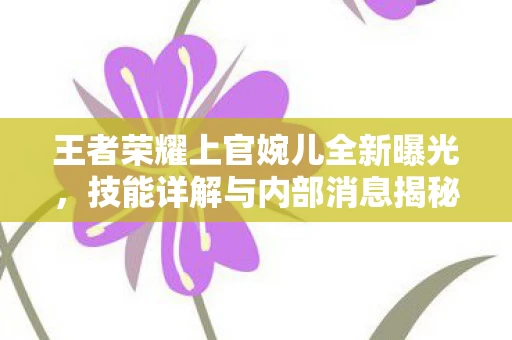 王者荣耀上官婉儿全新曝光图片
