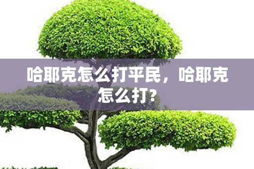 哈耶克怎么打平民，哈耶克怎么打？