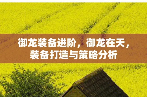 御龙装备进阶,御龙在天,装备打造与策略分析 御龙装备进阶,御龙在天,装备打造与策略分析