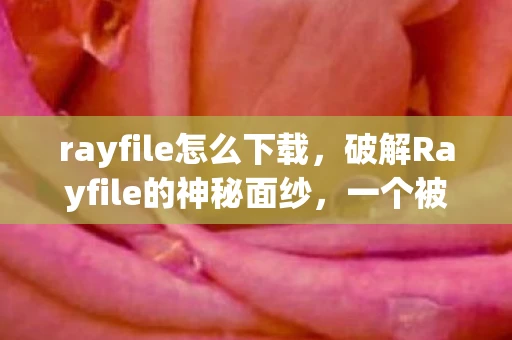 rayfile怎么下载,破解Rayfile的神秘面纱,一个被遗忘的互联网遗产 rayfile怎么下载,破解Rayfile的神秘面纱,一个被遗忘的互联网遗产
