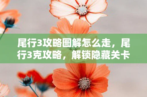 尾行3攻略图解怎么走，尾行3克攻略，解锁隐藏关卡与角色互动